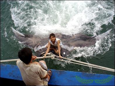 �������񲶻�3000�ﳬ����ħ���㡱(ͼ)