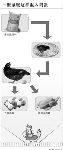 专家:鸡蛋问题缘于饲料 鸡肉难免含三聚氰胺