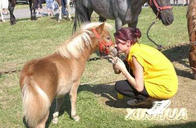 点击浏览下一张