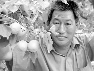 刘春明在他的杏福园里 刘春明在他的杏福园里