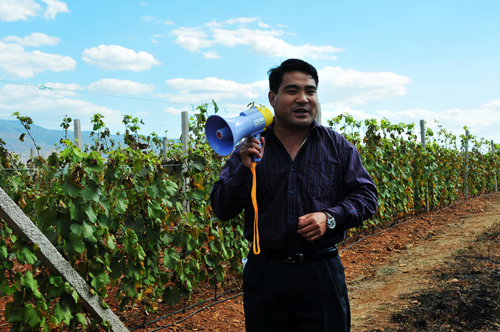 县农业局长杨映红在推广金牛镇河绕村葡萄示范园种植技术 县农业局长杨映红在推广金牛镇河绕村葡萄示范园种植技术