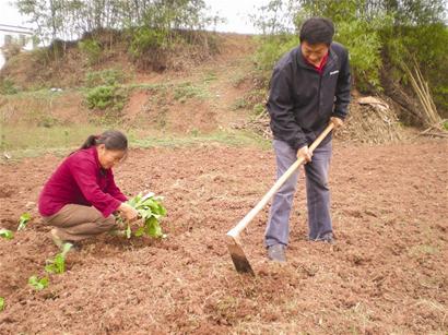 张世森本报记者 曾佐然 文/图