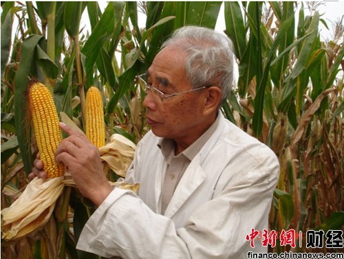 48年里,“三农”人物候选人程相文选育了39个玉米新品种。对程相文来说,他培育的种子能让农民丰产增收,就实现了最大心愿。 48年里,“三农”人物候选人程相文选育了39个玉米新品种。对程相文来说,他培育的种子能让农民丰产增收,就实现了最大心愿。