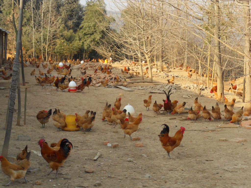 �������� �������ȡ���ǧ���ҵ