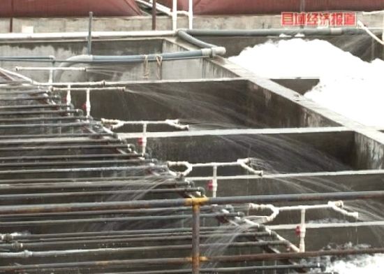 广东博罗:沼气点亮新生活。央视视频截图。