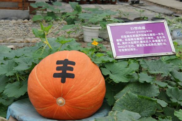 ̩ũҵ԰65꼼Աֳ260Ϲ