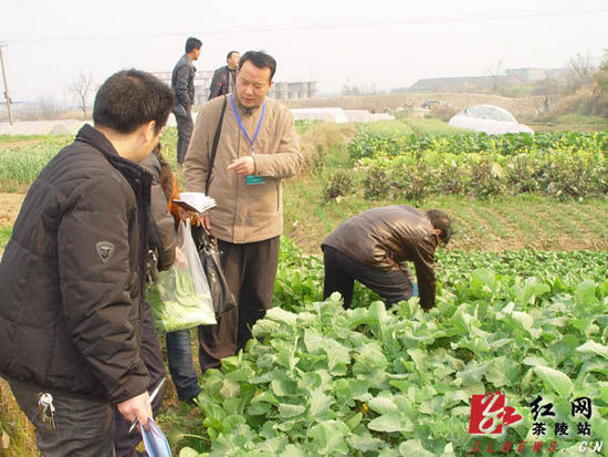 ¡°ËÕ´óÓÂ(ÓÒ¶þ)Ò»Ðе½Ê߲˻ùµØ³éÑù ËÕ´óÓÂ(ÓÒ¶þ)Ò»Ðе½Ê߲˻ùµØ³éÑù