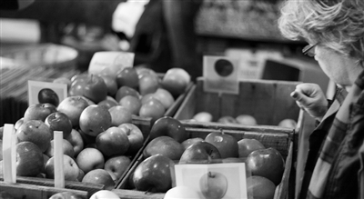 科技为农业注入活力 英国农业少耕地实现多产出 科技为农业注入活力 英国农业少耕地实现多产出