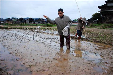 �Ϸ�3������������Σ��