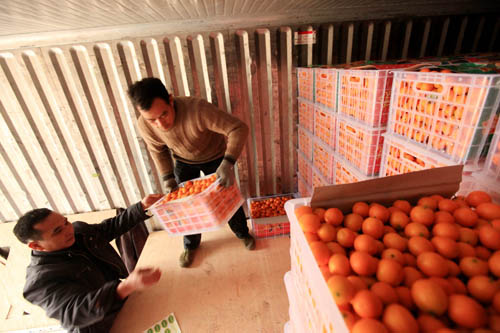 ¹¤×÷ÈËÔ±ÔÚÍù¼¯×°ÏäÄÚ×°½ð½Û¡£ ¹¤×÷ÈËÔ±ÔÚÍù¼¯×°ÏäÄÚ×°½ð½Û¡£