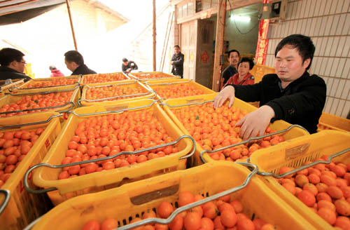 ½ð½ÛºÏ×÷ÉçÔÚÓªÏúÈËÔ±ÔÚ¼ì²é×°Ïä½ð½Û¡£ ½ð½ÛºÏ×÷ÉçÔÚÓªÏúÈËÔ±ÔÚ¼ì²é×°Ïä½ð½Û¡£