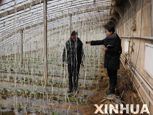 ɽ����������ֿ�չũҵ��������������