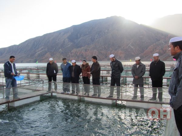 水产养殖专家对养殖户进行手把手的技术指导 水产养殖专家对养殖户进行手把手的技术指导