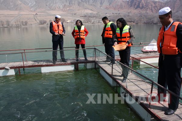 水产养殖专家对养殖户进行手把手的技术指导 水产养殖专家对养殖户进行手把手的技术指导