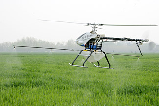 农业部要求:坚决打赢小麦条锈病防控阻截战