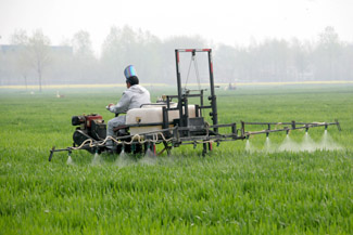 农业部要求:坚决打赢小麦条锈病防控阻截战