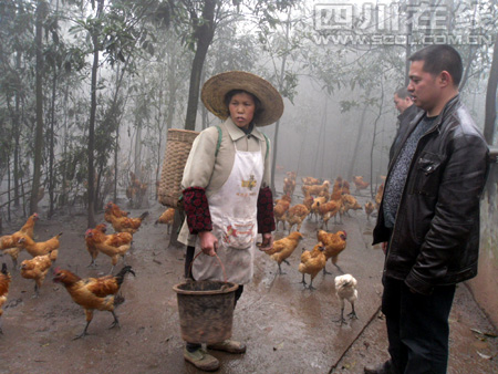 李文海向姑妈李学金传授养鸡技术 李文海向姑妈李学金传授养鸡技术