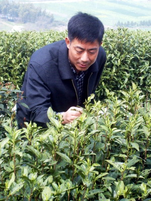 ԰ճְײ裬Ϊ񿪱¸·