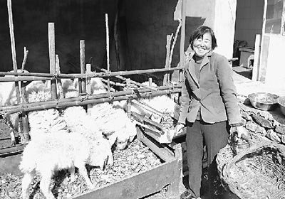 ��������� ũ��ϲ����