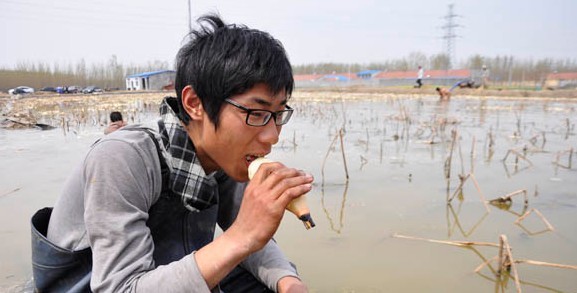 莲藕种植新技术为村民铺就致富路