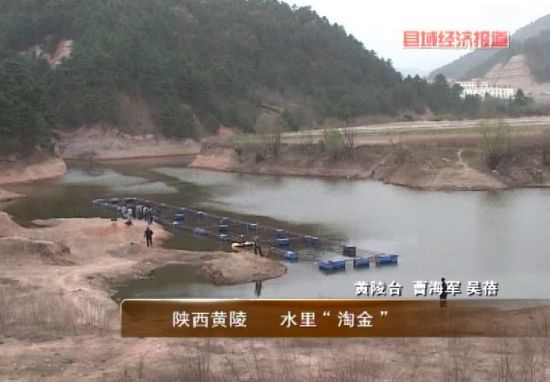陕西省黄陵县农民致富“淘金” 大力发展水产养殖 陕西省黄陵县农民致富“淘金” 大力发展水产养殖