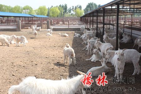 �������ı�׼��������ֳ���ؽ���æ