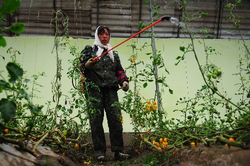  ຣ2012523 ũҵƼ԰ԭũҵչ ԰ũڸֲأ522㣩