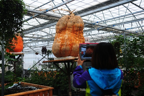  ຣ2012523 ũҵƼ԰ԭũҵչ һο԰ľϹǰ522㣩 