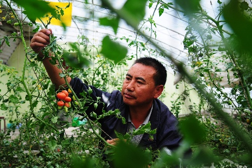  ຣ2012523 ũҵƼ԰ԭũҵչ Աڲ鿴(522㣩