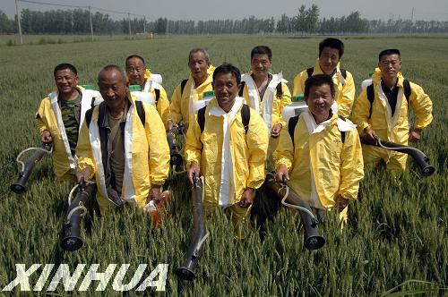 ڸؽʵʩͳһҵĺũҵ硰ũﱣķӰ517㣩