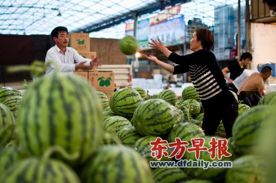 曹杨路水果市场,摊主称这些西瓜都是崇明产的“8424”。 满城西瓜尽是8424市民困惑 未申请专利打假难