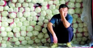 Ŀǰ߲˱ȷĹұ׼  籨