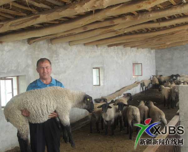 ɳ��ʵʩ������̥��ֲ����Ч����