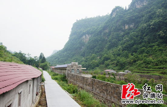 磋比沟两岸森林覆盖,空气清新,十分适合饲养娃娃鱼 湖南保靖县规模化生态驯养娃娃鱼为百姓铺设致富路