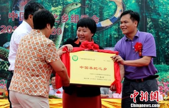 中国特产之乡组委会授予广西钦州市灵山县“中国养蛇之乡”荣誉牌匾。 探访中国养蛇之乡广西灵山县:农户收入达百万