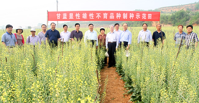 �����������Բ������ģ���ֻ�óɹ�