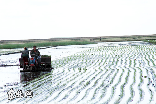 ��������и�ԣ���������򶫷��ͨ������ˮ���