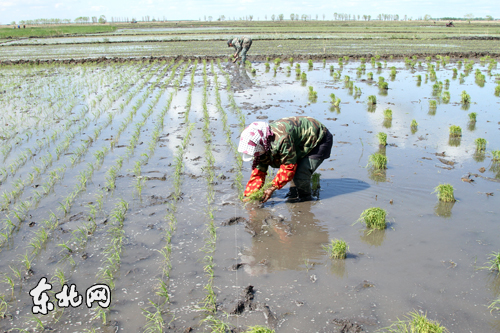 ��������и�ԣ���������򶫷���ũ�����ڲ�����