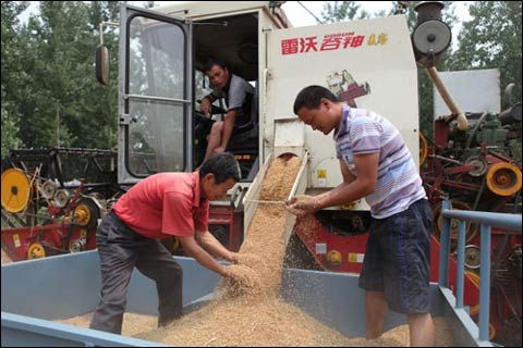 �����ƻ������������Խ�ˮ ����������С��