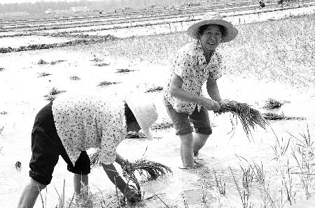 �²�ũ��ϲ�֡�����ˮ����