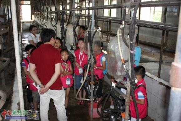 С���߲ɷ���ţ��������Ա