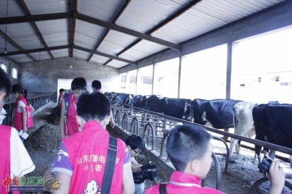 ɽ���㲥����̨С�����߽�������ţ����