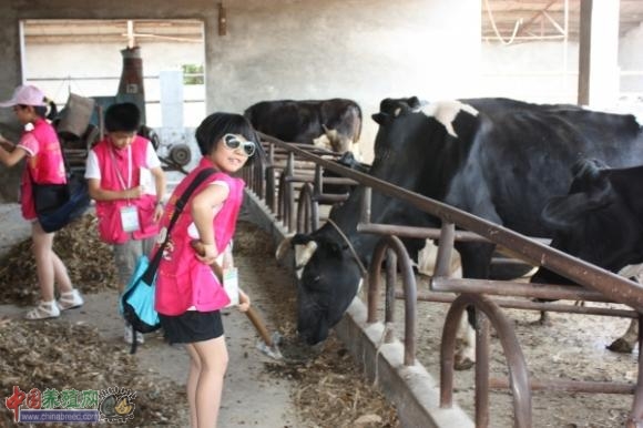 С���ߺ���ţ���ܽӴ�