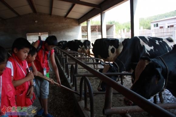 С����ι��ţ