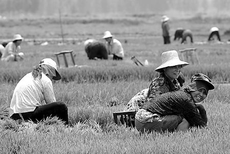 620գƽɽտ嵾æ硢Ƶˮʩ2.8ĶƬˮء