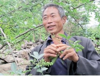 贞丰县银洞湾村:山民靠科学种植脱贫致富 贞丰县银洞湾村:山民靠科学种植脱贫致富