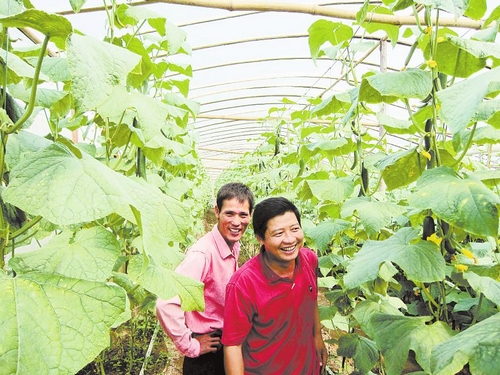 ıũҵ۹⡱· ߳¸·