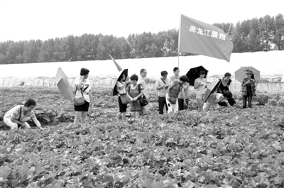 ������ʡ¶����ɫ�߲���ֲ�����ƹ�10��Ķ