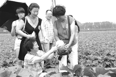 ������ʡ¶����ɫ�߲���ֲ�����ƹ�10��Ķ