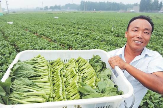 ũҵۺϿĿʵʩʹʺũƷ